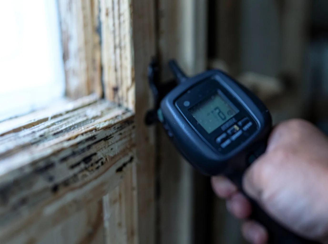 Moisture Inspection And Documentation in Argyle, WI